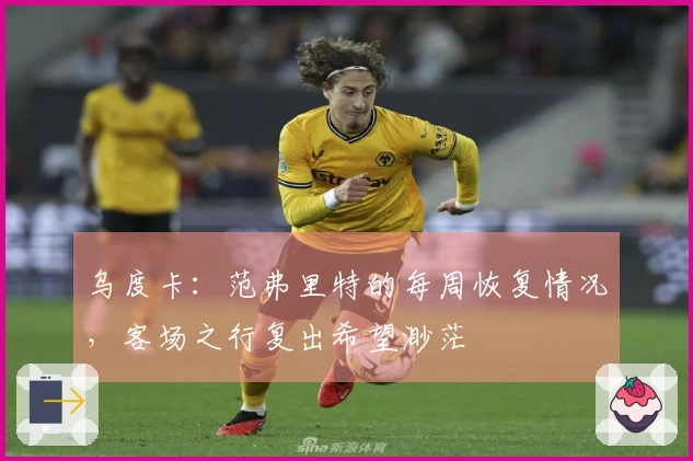 乌度卡：范弗里特的每周恢复情况，客场之行复出希望渺茫