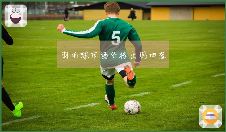 羽毛球市场价格出现回落