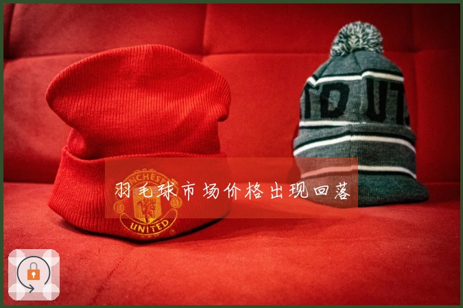 羽毛球市场价格出现回落