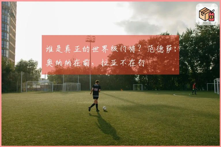 谁是真正的世界级门将？范德萨：奥纳纳在前，拉亚不在行